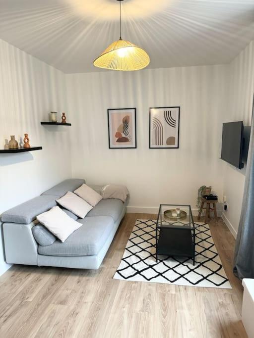 Appartement Eloi - 1 Chambre Mont-de-Marsan Bagian luar foto